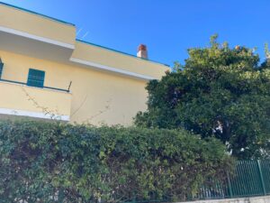 Casa Blu – Casa per le Autonomie