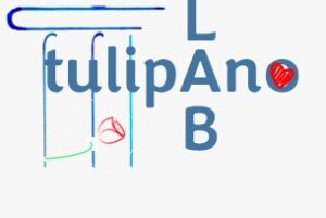 Tulipano-Lab - Gruppo Social per Giovani Adulti
